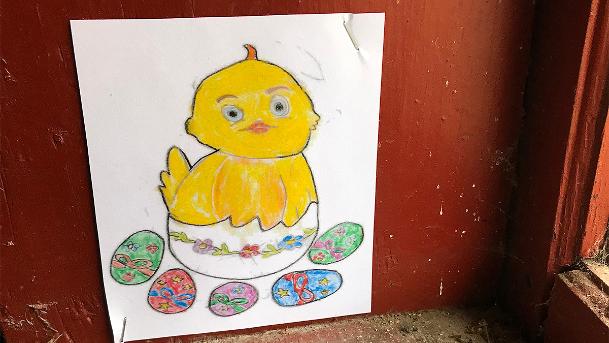 Tecknad bild på en gul fågel. bilden sitter uppsatt på en vägg.