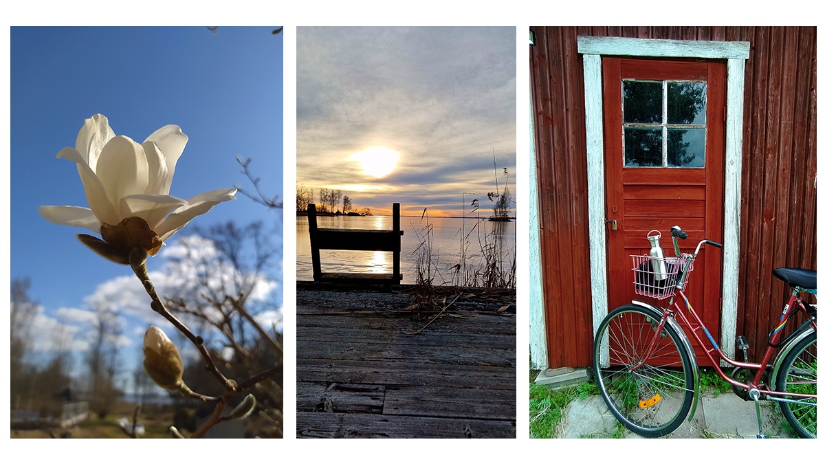 Tre målningar: vit blomma och solnedgång i bakgrunden. En dörr på ett hus och en cykel står framför dörren. Solnedgång vid en brygga vid havet.